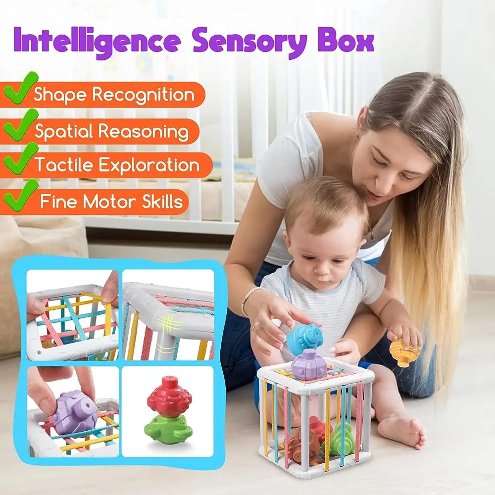 Mainan Edukasi Kognitif Pelati - Kids Education Toy ulasan dan harga