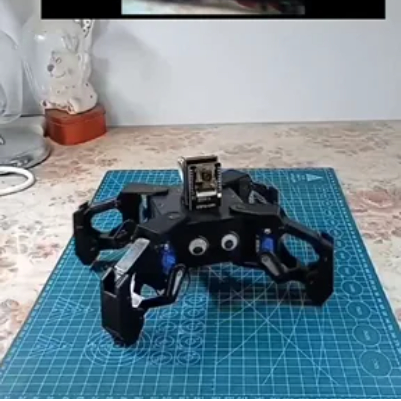 Robot Spider Video SG90 dengan - Coding Robot Toy ulasan dan harga